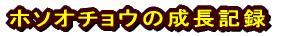 �z�\�I�`���E�̐����L�^ 