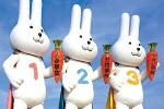 スピード解決3兄弟/あいおい損保