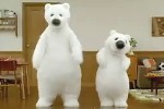 白くまくん/日立エアコン