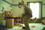 オオカミ/ニトリ