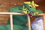 ベッドで着ぐるみ
