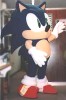 エムエムシーの着ぐるみ ソニック
