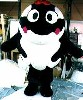 シャチの着ぐるみ