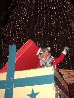 巨大なクリスマスプレゼントの箱から現れるヒョウ着ぐるみ