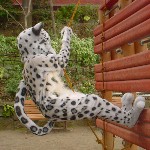 公園で遊具に登る獣たち