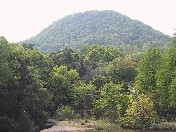 �X�ь�������̍b�R